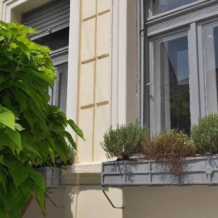 شقة Vendeghaz A Harom Szivarhoz بيتْش